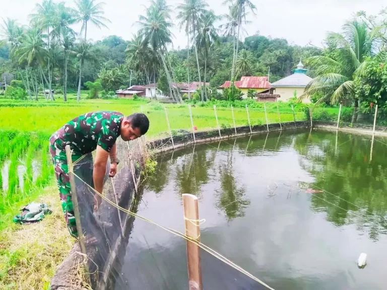 Penggunaan-Waring-Jaring-Untuk-Tambak-Ikan-Produk-SMPL