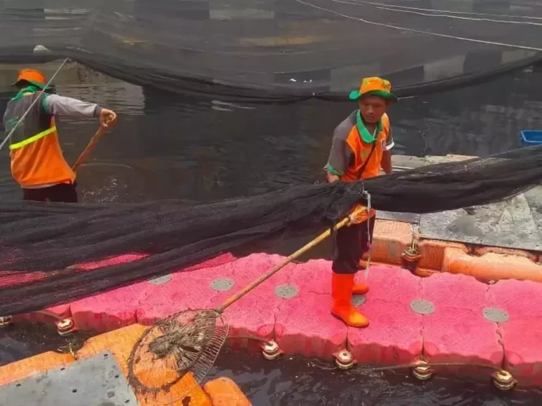 Penggunaan-waring-jaring-untuk-tudung-sungai